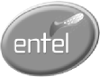 Entel